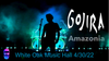 Gojira - “Amazonia”